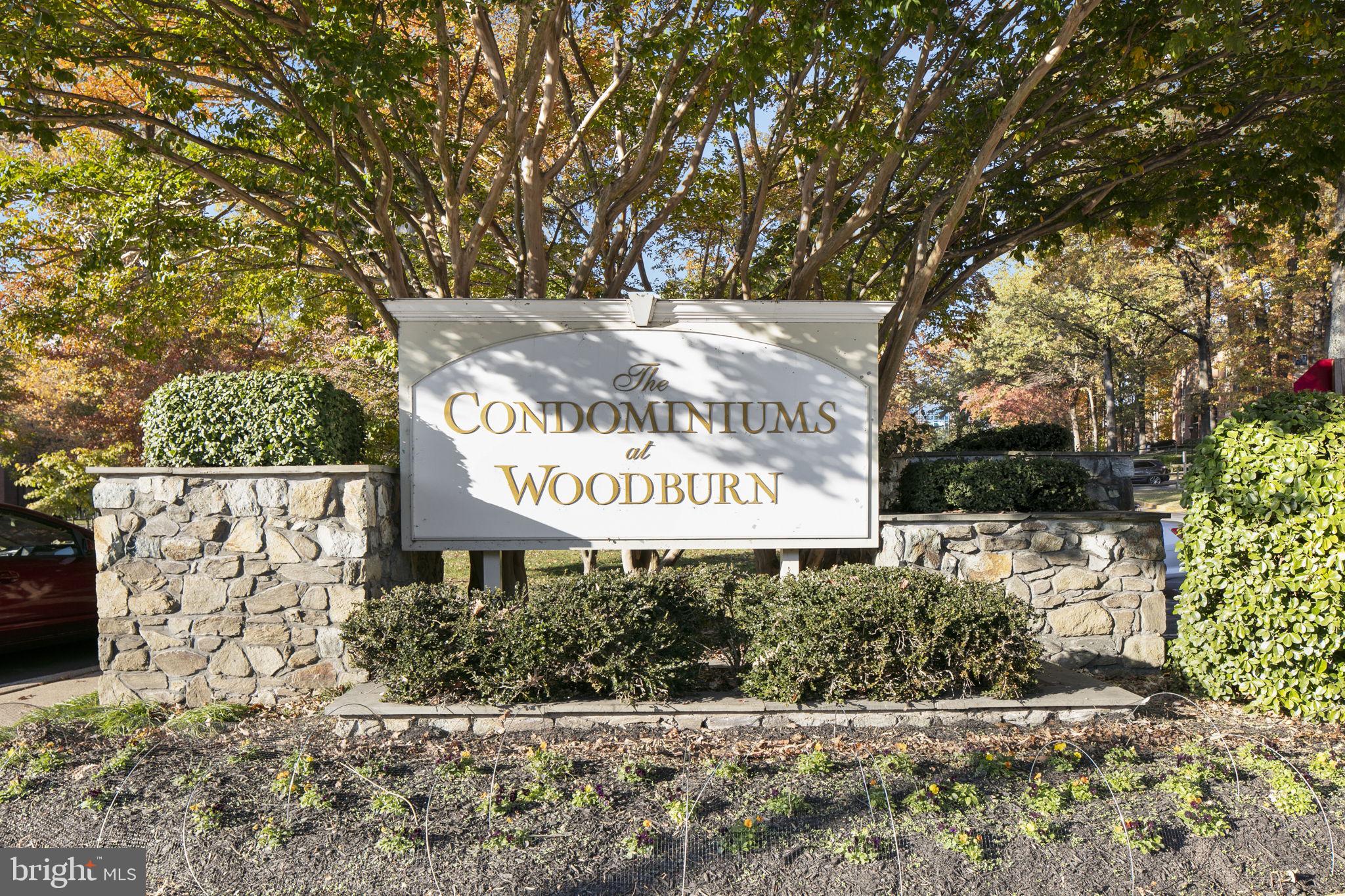 3354 Woodburn Road, Unit 14 Annandale, VA 22003 - Photo 2 of 55