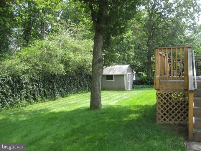 6023 Sumner Road Alexandria, VA 22310 - Photo 3 of 23 Back yard