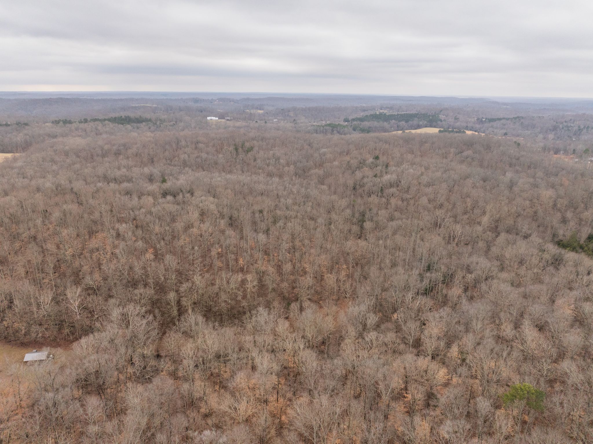 0 Wiley Branch Road Dickson, TN 37055 - Photo 26 of 27