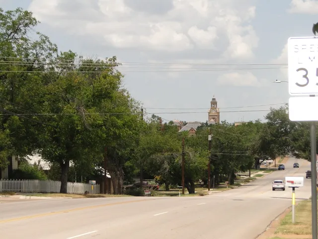 a view of a yard with plants and trees