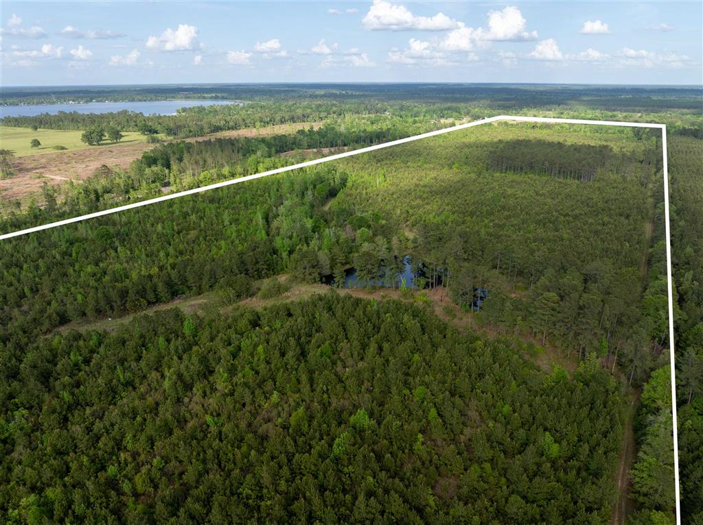 0 Odis Greene Road Deridder, LA 70634 - Photo 10 of 17 Gallery Image 10