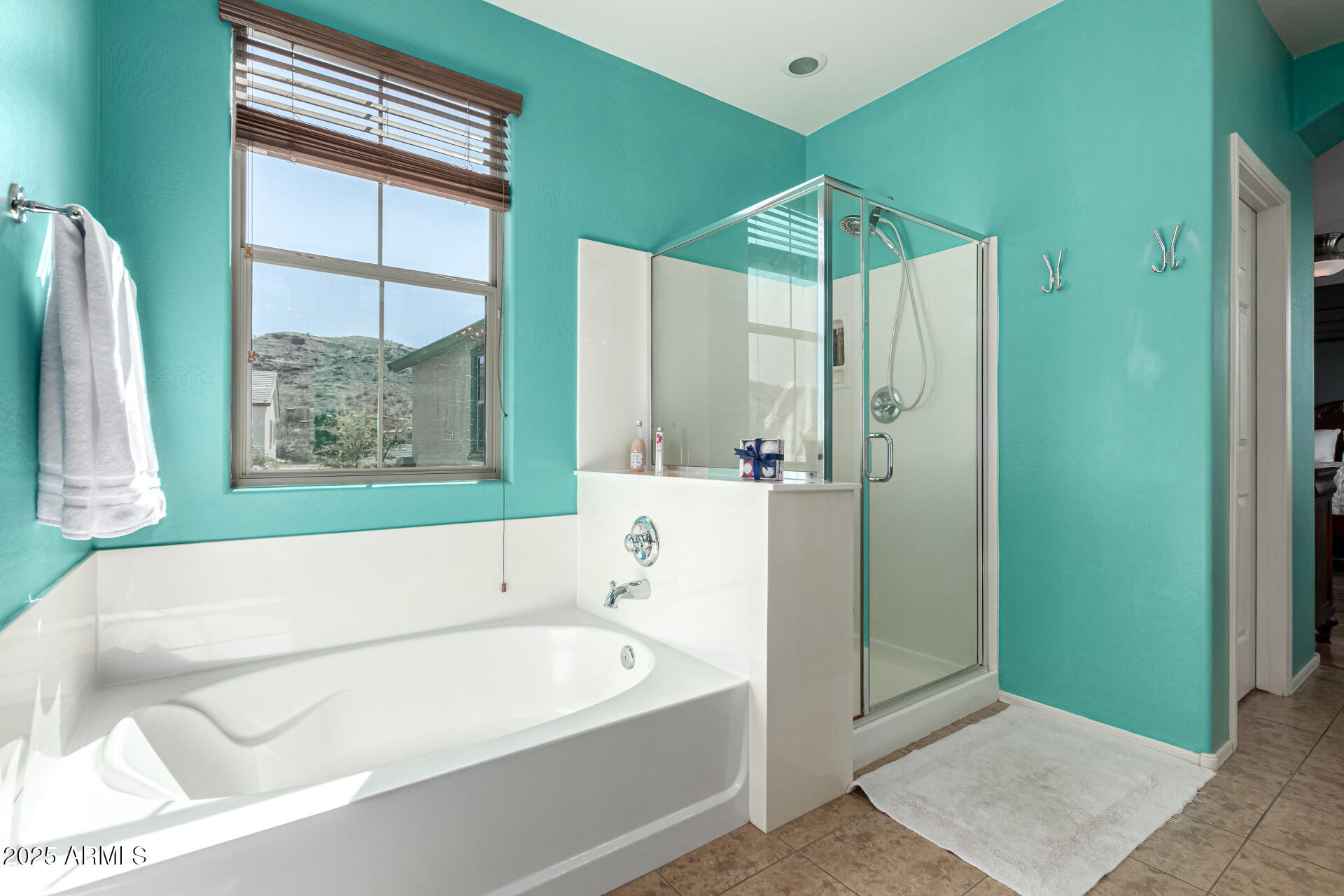 3914 East Constance Way Phoenix, AZ 85042 - Photo 41 of 81 a bathroom with a bathtub and a shower