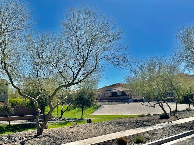 3914 East Constance Way Phoenix, AZ 85042 - Photo 70 of 81 a view of a yard with plants