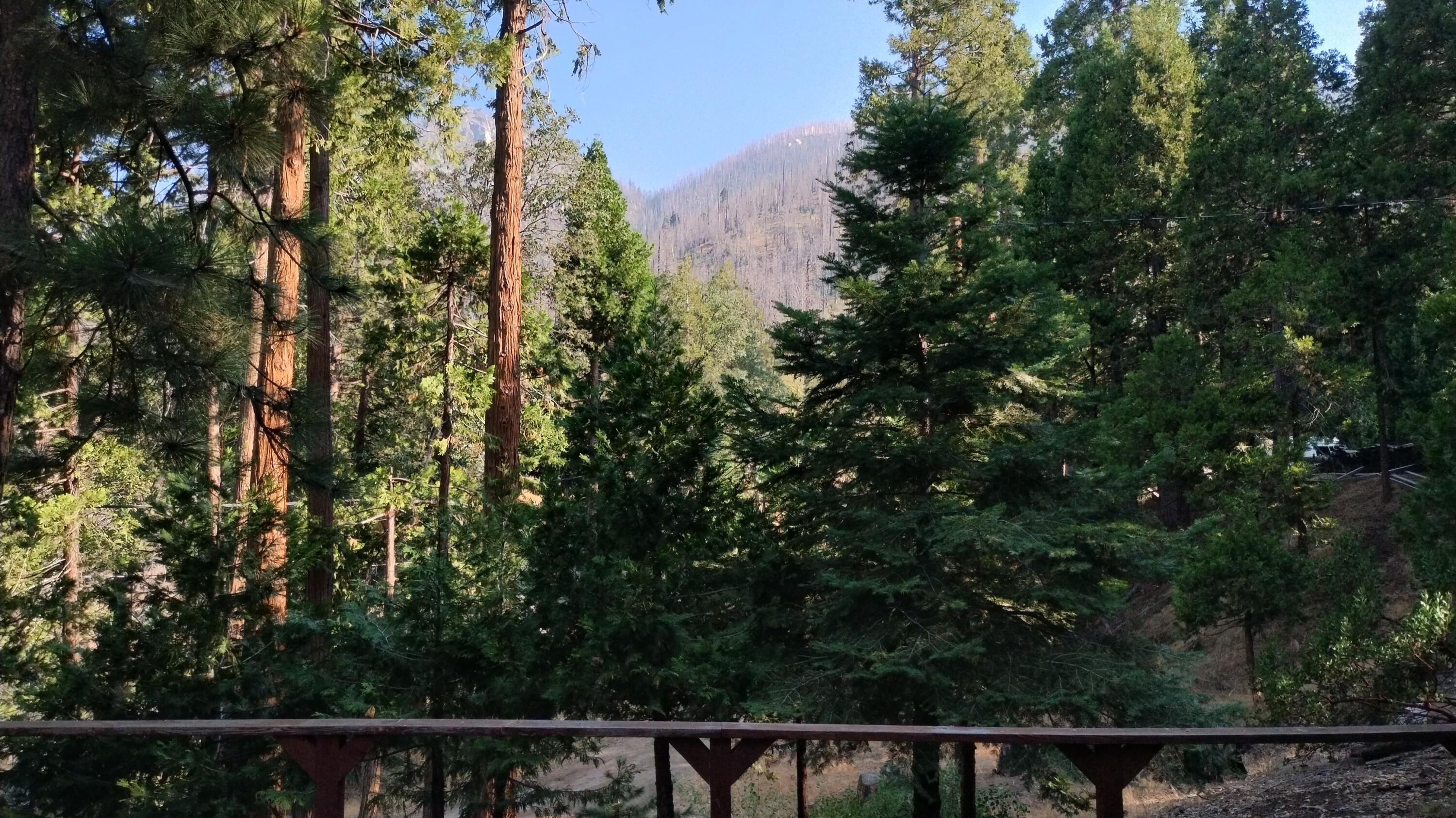 51867 Cedar Road Cedar Slope, CA 93265 - Photo 10 of 38 8-View from great room slider