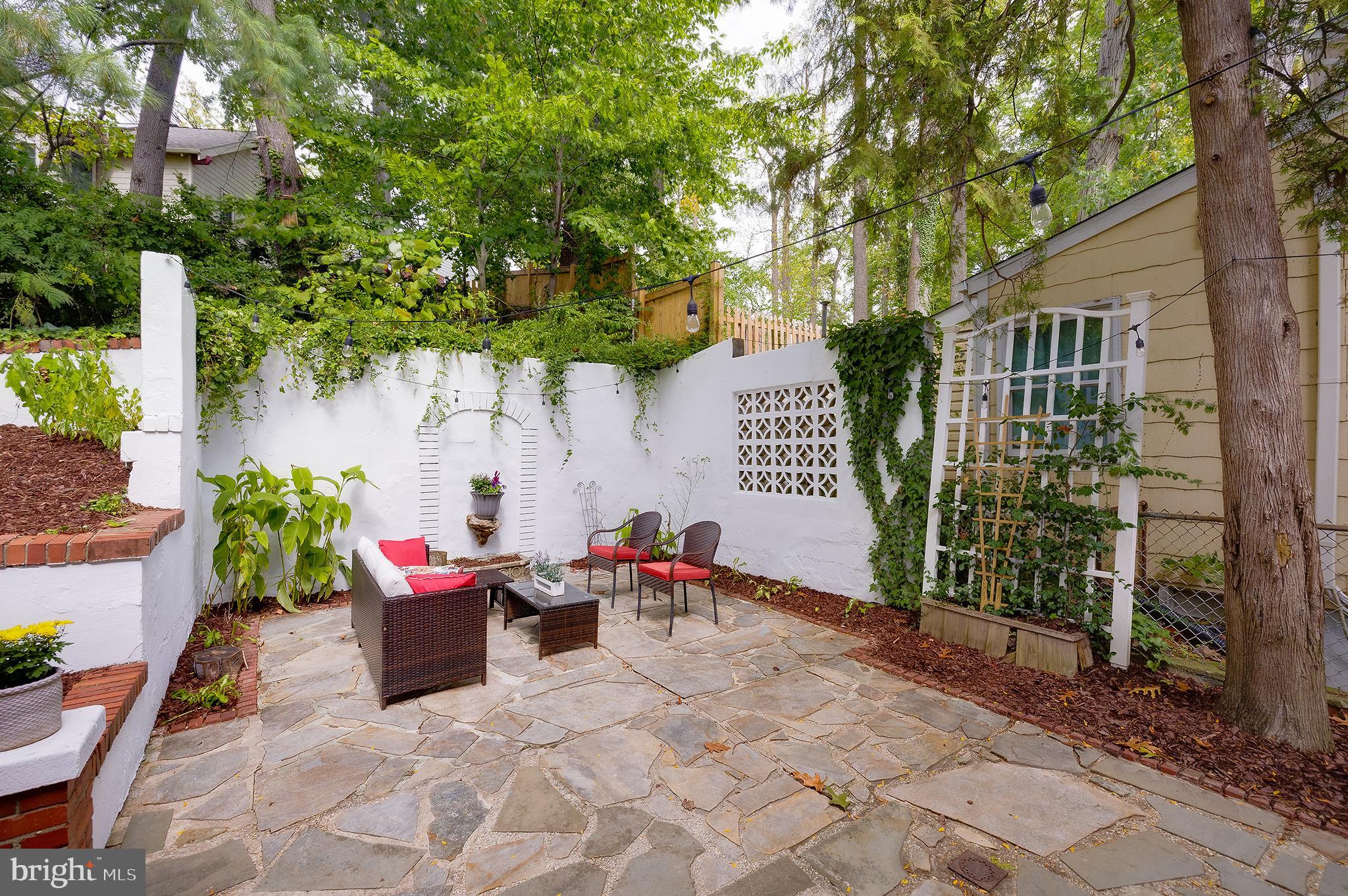 704 Maplewood Avenue Takoma Park, MD 20912 - Photo 14 of 54 a outdoor space with lots of potted plants