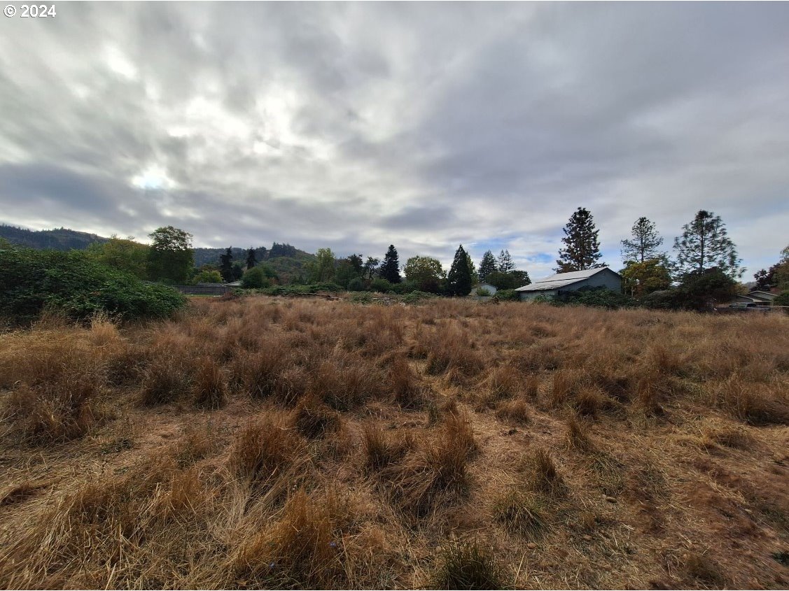 0 Pioneer Way Winchester, OR 97495 - Photo 11 of 27