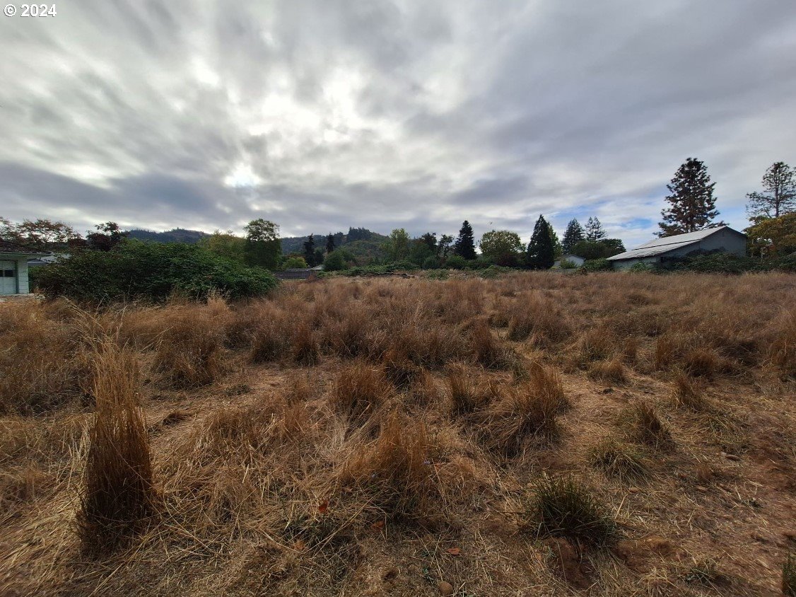 0 Pioneer Way Winchester, OR 97495 - Photo 12 of 27