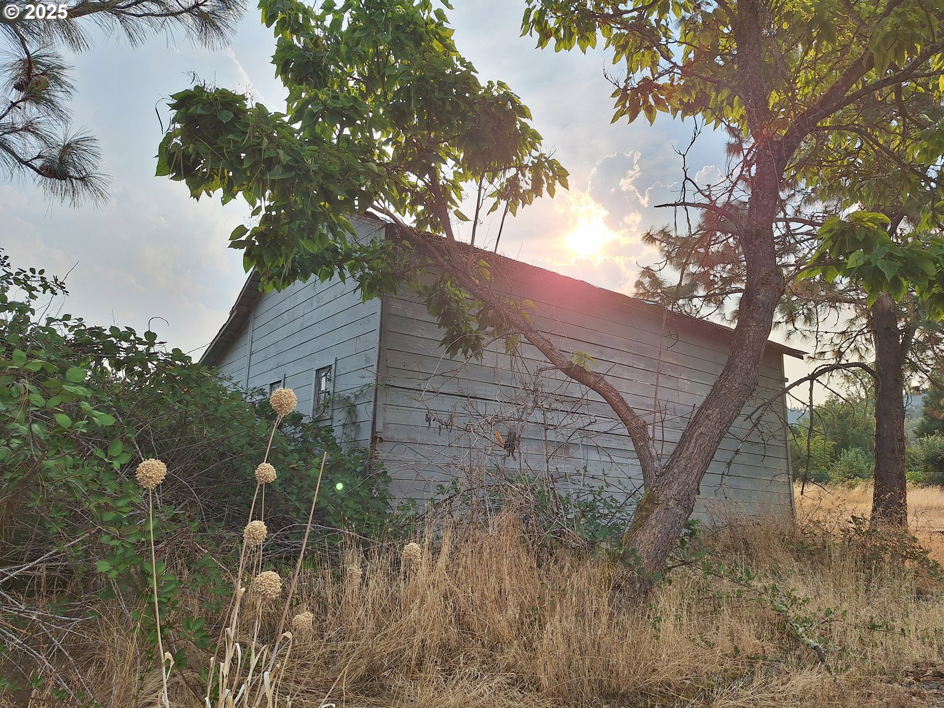 0 Pioneer Way Winchester, OR 97495 - Photo 16 of 27