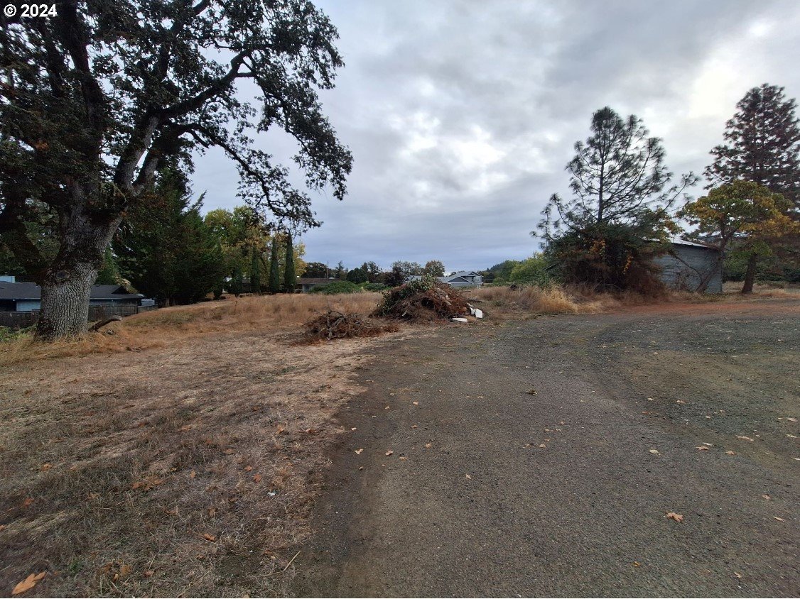 0 Pioneer Way Winchester, OR 97495 - Photo 2 of 27