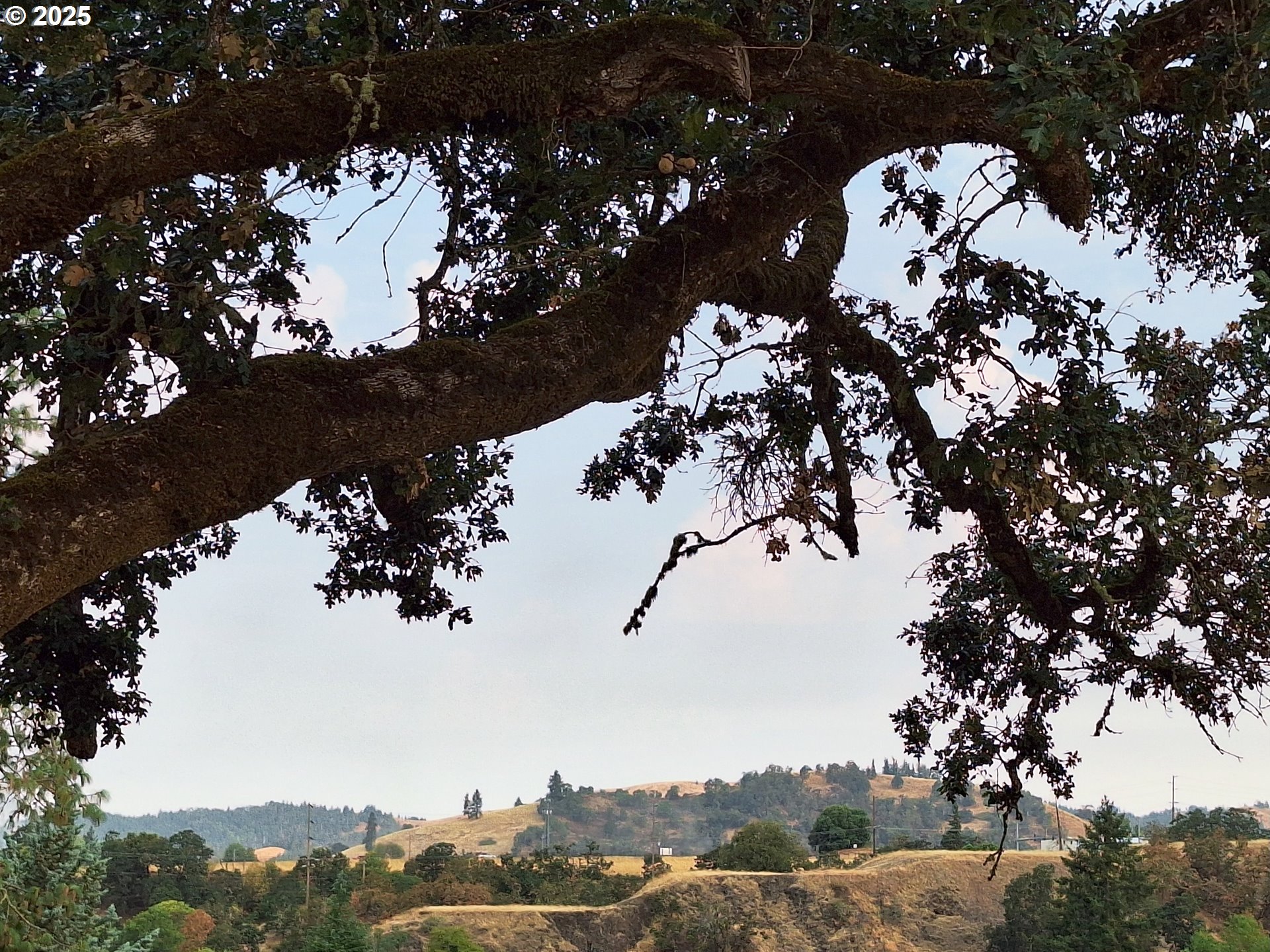 0 Pioneer Way Winchester, OR 97495 - Photo 24 of 27