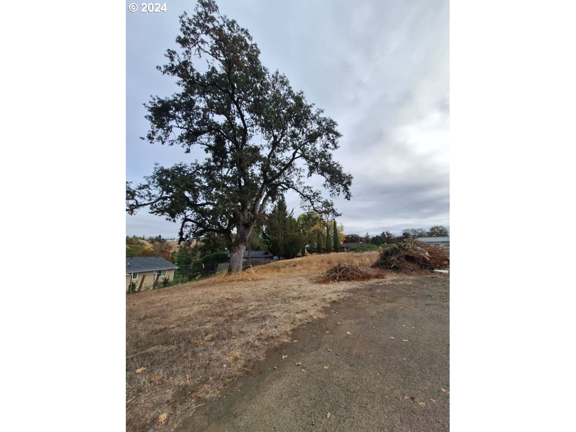 0 Pioneer Way Winchester, OR 97495 - Photo 4 of 27