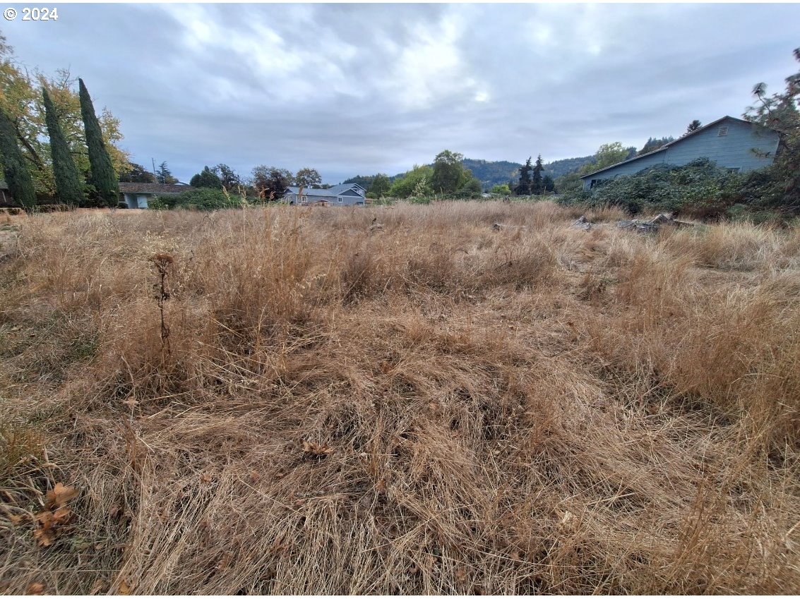 0 Pioneer Way Winchester, OR 97495 - Photo 6 of 27