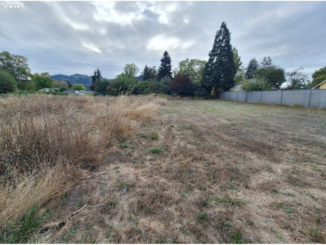 0 Pioneer Way Winchester, OR 97495 - Photo 9 of 27