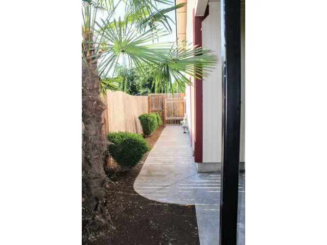 a view of a backyard with plants