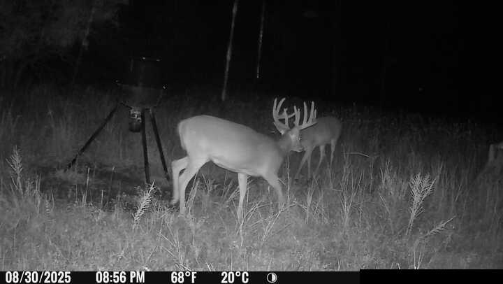 0 South Stanley Road Quenemo, KS 66528 - Photo 34 of 44