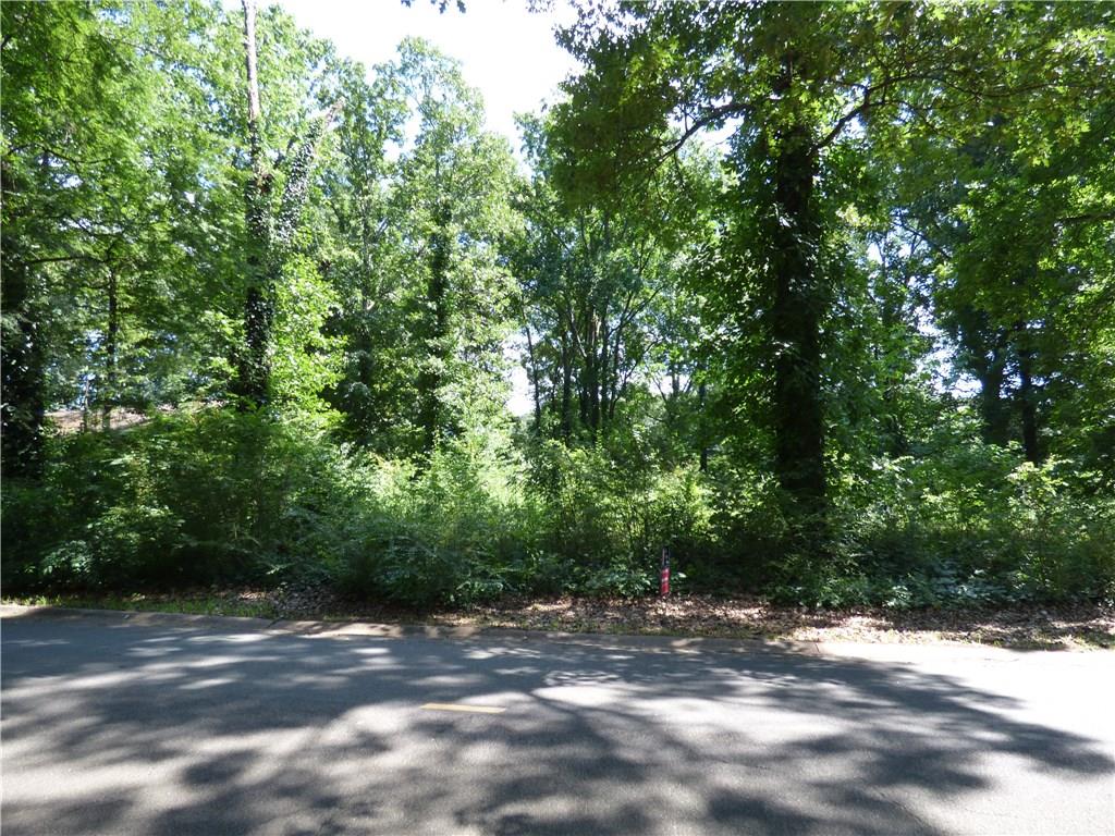 0 East Felton Road Cartersville, GA 30121 - Photo 1 of 1 Gallery Image 1