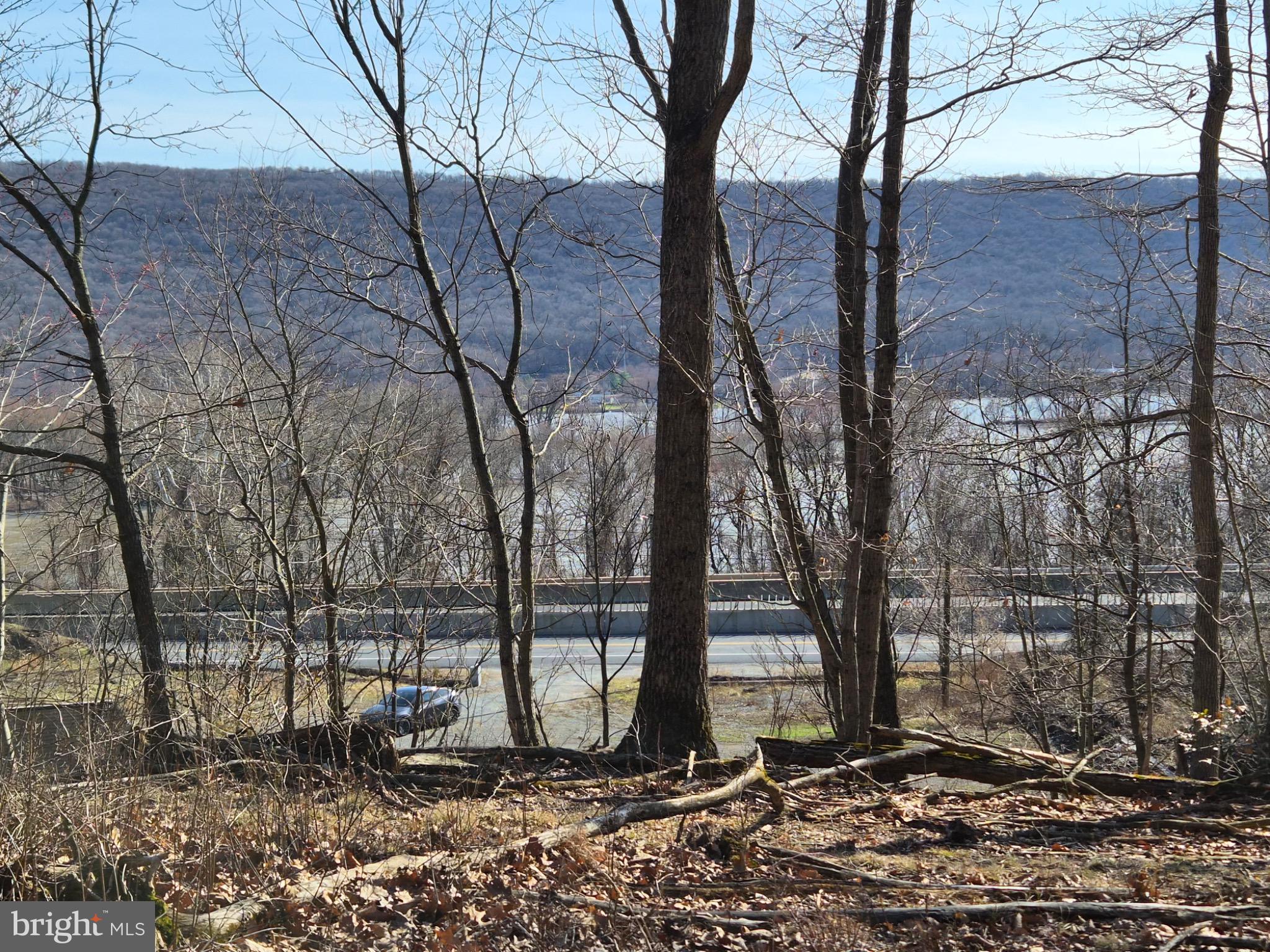 1241 Gap View Road Dauphin, PA 17018 - Photo 2 of 8 a backyard of a house with lots of green space