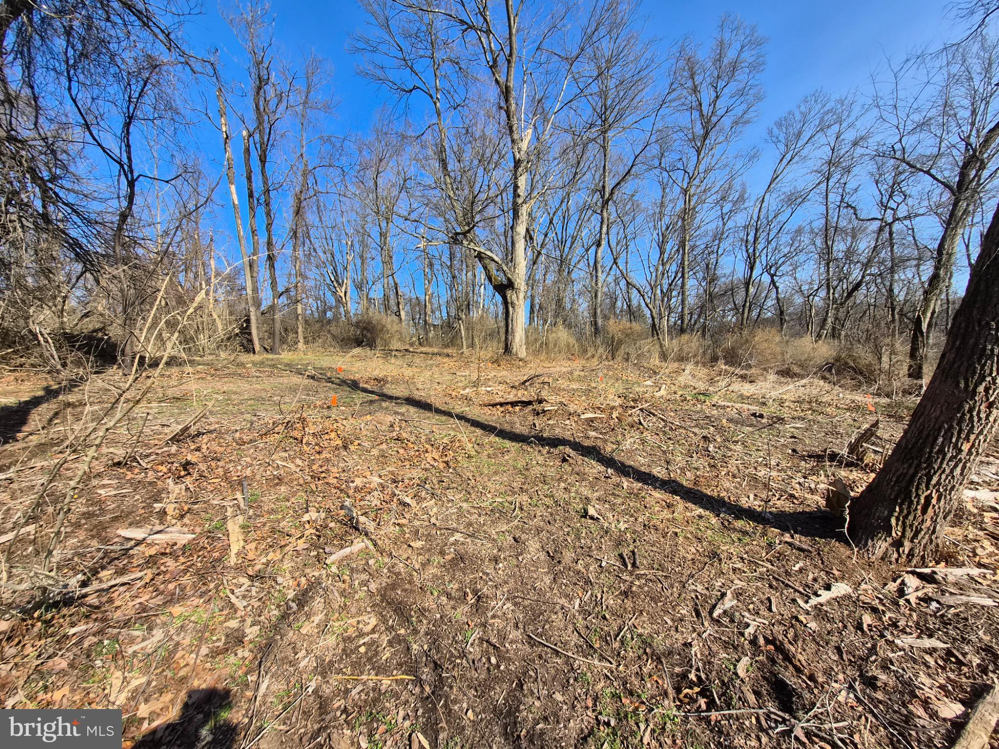 1241 Gap View Road Dauphin, PA 17018 - Photo 5 of 8 a view of a backyard of the house