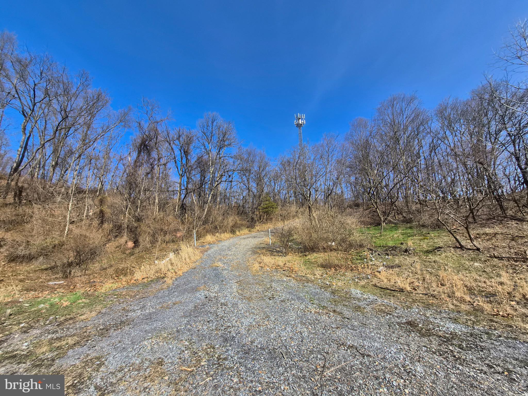 1241 Gap View Road Dauphin, PA 17018 - Photo 6 of 8 a view of a yard with trees in the background