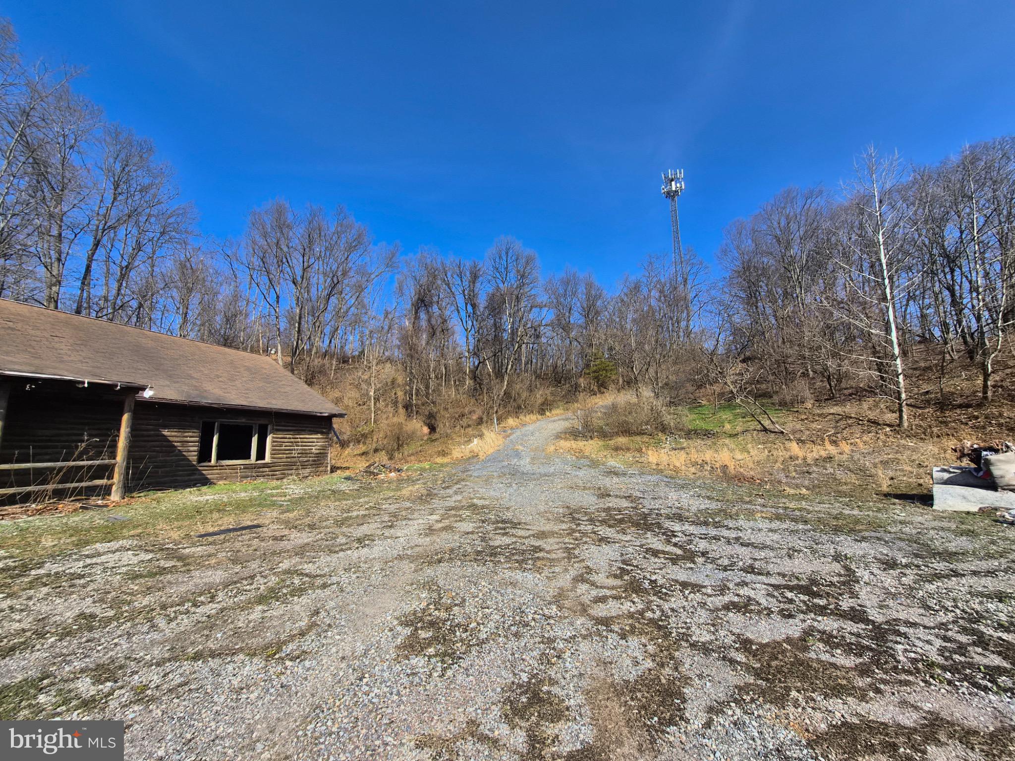 1241 Gap View Road Dauphin, PA 17018 - Photo 8 of 8 a view of a backyard with trees