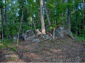 0 Maple Creelk Road Rutherfordton, NC 28139 - Photo 1 of 5 a view of forest