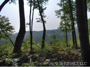0 Maple Creelk Road Rutherfordton, NC 28139 - Photo 2 of 5 a view of lake