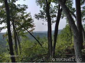 0 Maple Creelk Road Rutherfordton, NC 28139 - Photo 3 of 5 a view of outdoor space and garden