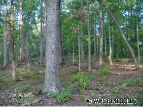 0 Maple Creelk Road Rutherfordton, NC 28139 - Photo 5 of 5 a view of a forest