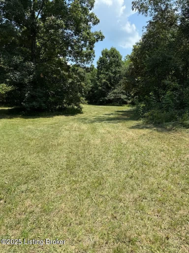 0 Eastview Road Cecilia, KY 42724 - Photo 21 of 35 IMG_6350