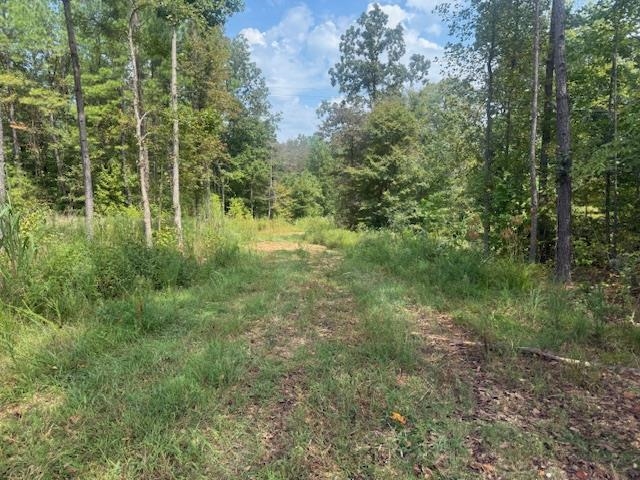2 Butler Road Pinson, TN 38366 - Photo 12 of 16 View of tree filled area