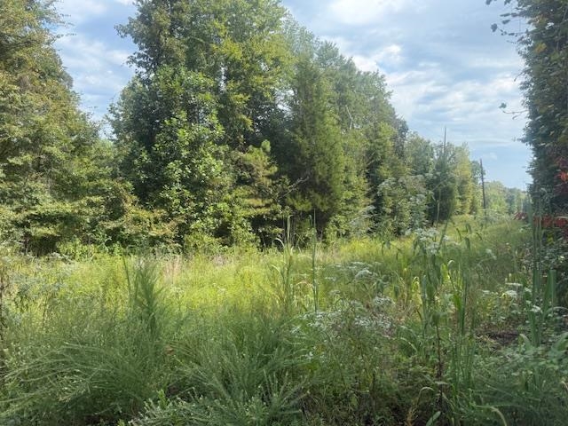 2 Butler Road Pinson, TN 38366 - Photo 13 of 16 View of wooded area