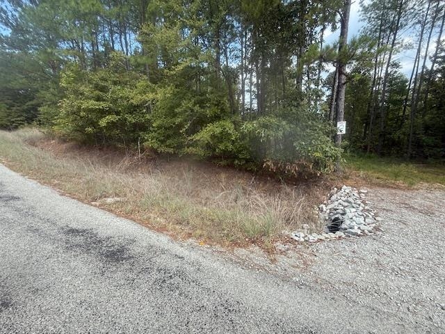 2 Butler Road Pinson, TN 38366 - Photo 3 of 16 View of asphalt road