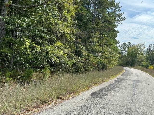 2 Butler Road Pinson, TN 38366 - Photo 6 of 16 View of asphalt road with a wooded view