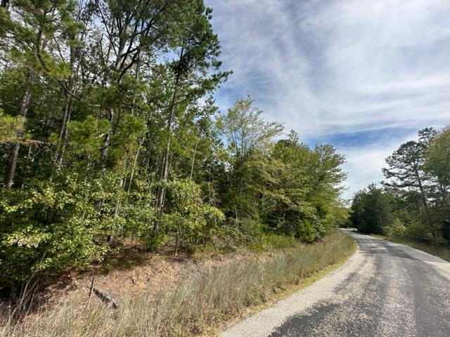 2 Butler Road Pinson, TN 38366 - Photo 8 of 16 View of asphalt street with a forest view