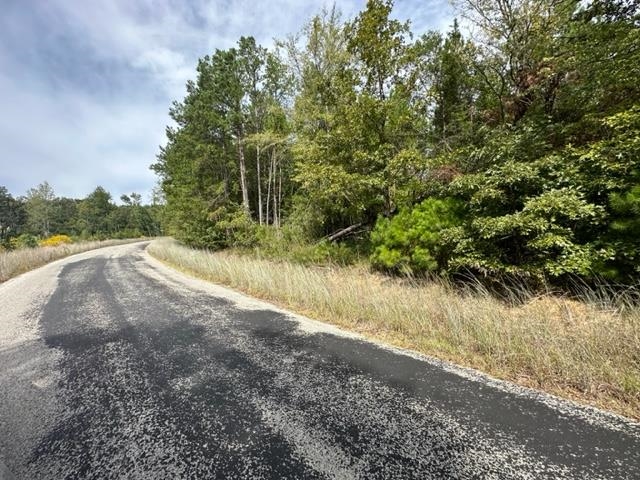 2 Butler Road Pinson, TN 38366 - Photo 10 of 16 View of dirt / gravel road featuring a view of trees