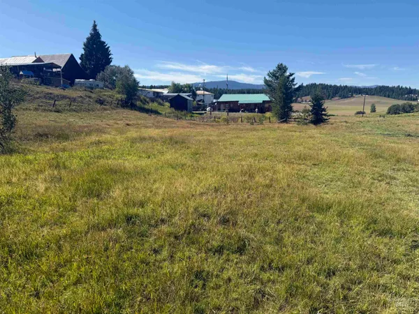 $59,000 | Tbd School Drive, Elk City, ID 83525