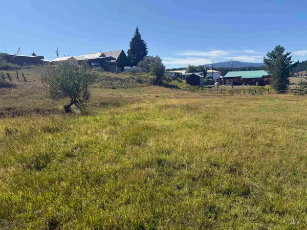 $59,000 | Tbd School Drive, Elk City, ID 83525