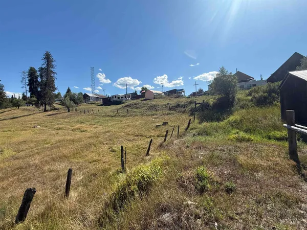$59,000 | Tbd School Drive, Elk City, ID 83525