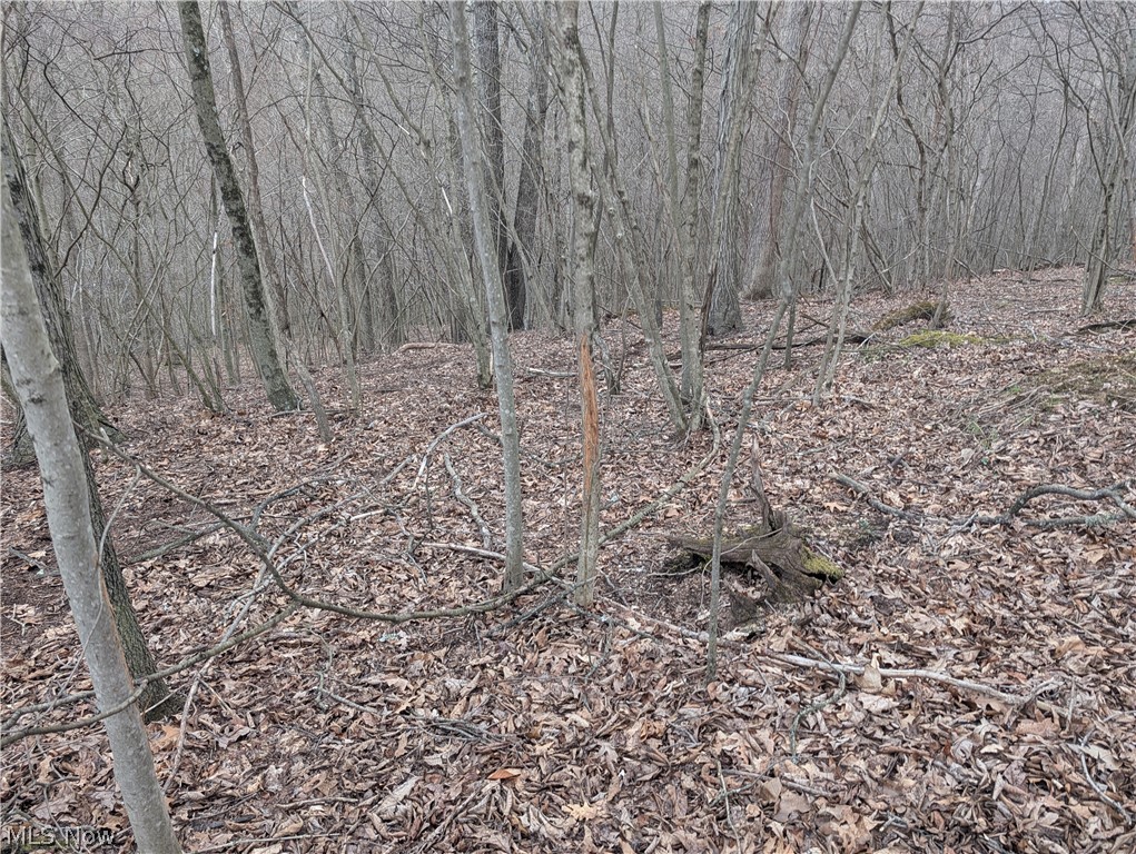 39000 Lees Run Road Cadiz, OH 43907 - Photo 35 of 49