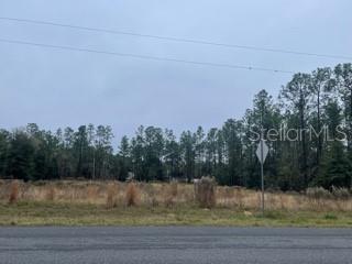 Tbd Southwest Tbd Sw 61st Rd Place Ocala, FL 34481 - Photo 1 of 1