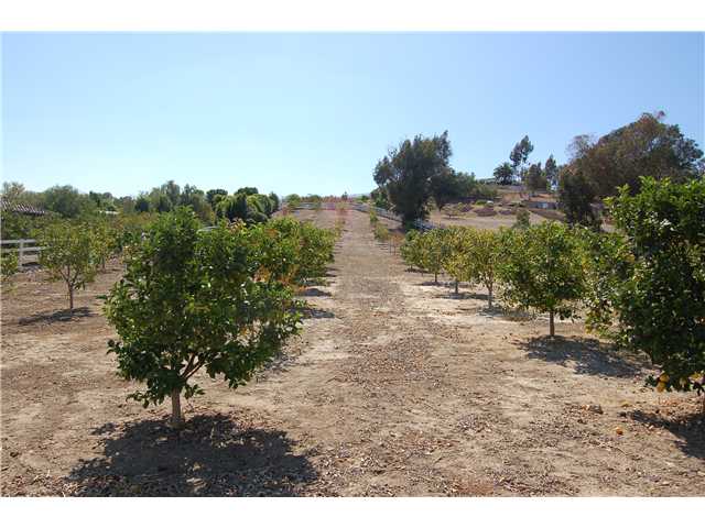 2568-72 Lone Jack Road Encinitas, CA 92024 - Photo 13 of 21