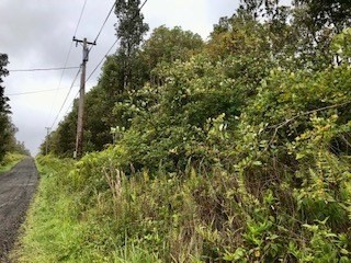 82 Kokokahi Road Pahoa, HI 96778 - Photo 10 of 25 Gallery Image 10