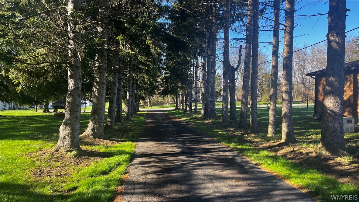 175 Schultz Road West Seneca, NY 14224 - Photo 5 of 33