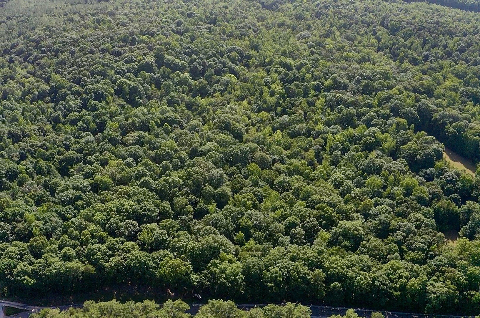 0 Jeanette Holladay Road Holladay, TN 38341 - Photo 6 of 8