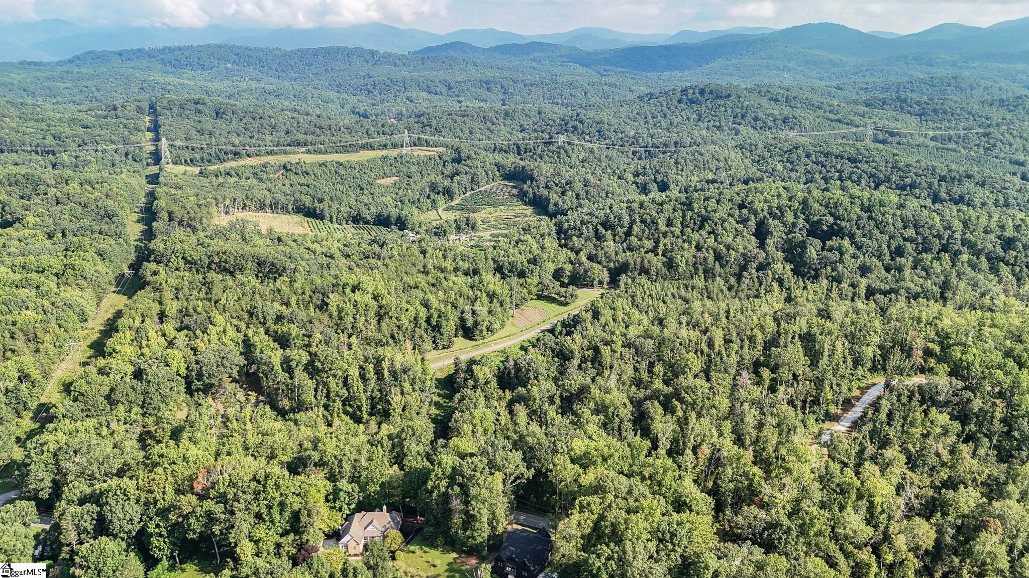 502 Chinquapin Road Travelers Rest, SC 29690 - Photo 14 of 22