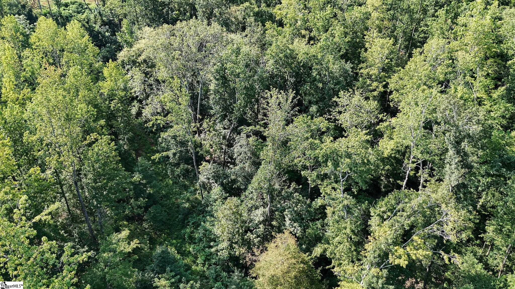 502 Chinquapin Road Travelers Rest, SC 29690 - Photo 20 of 22