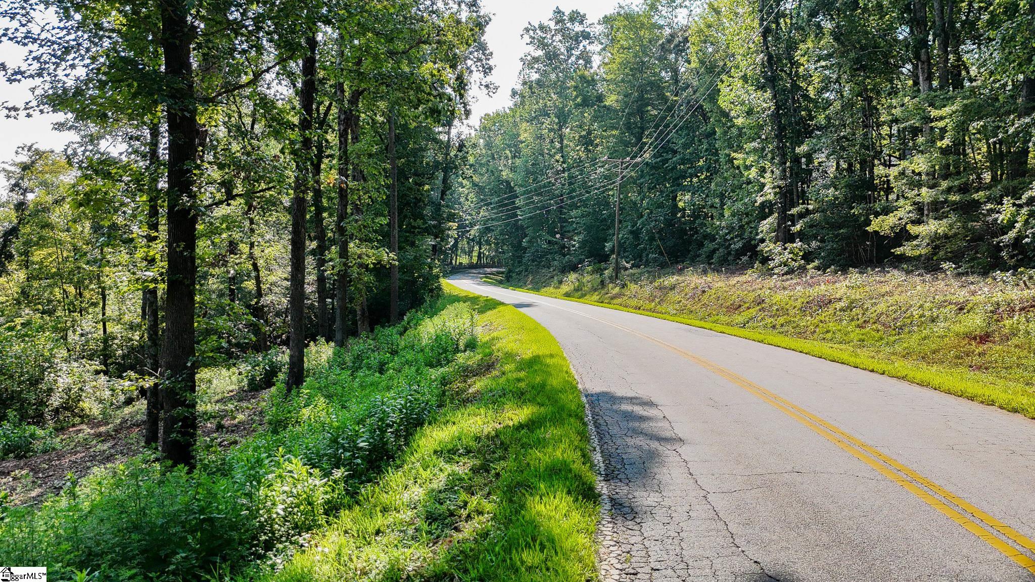 502 Chinquapin Road Travelers Rest, SC 29690 - Photo 3 of 22