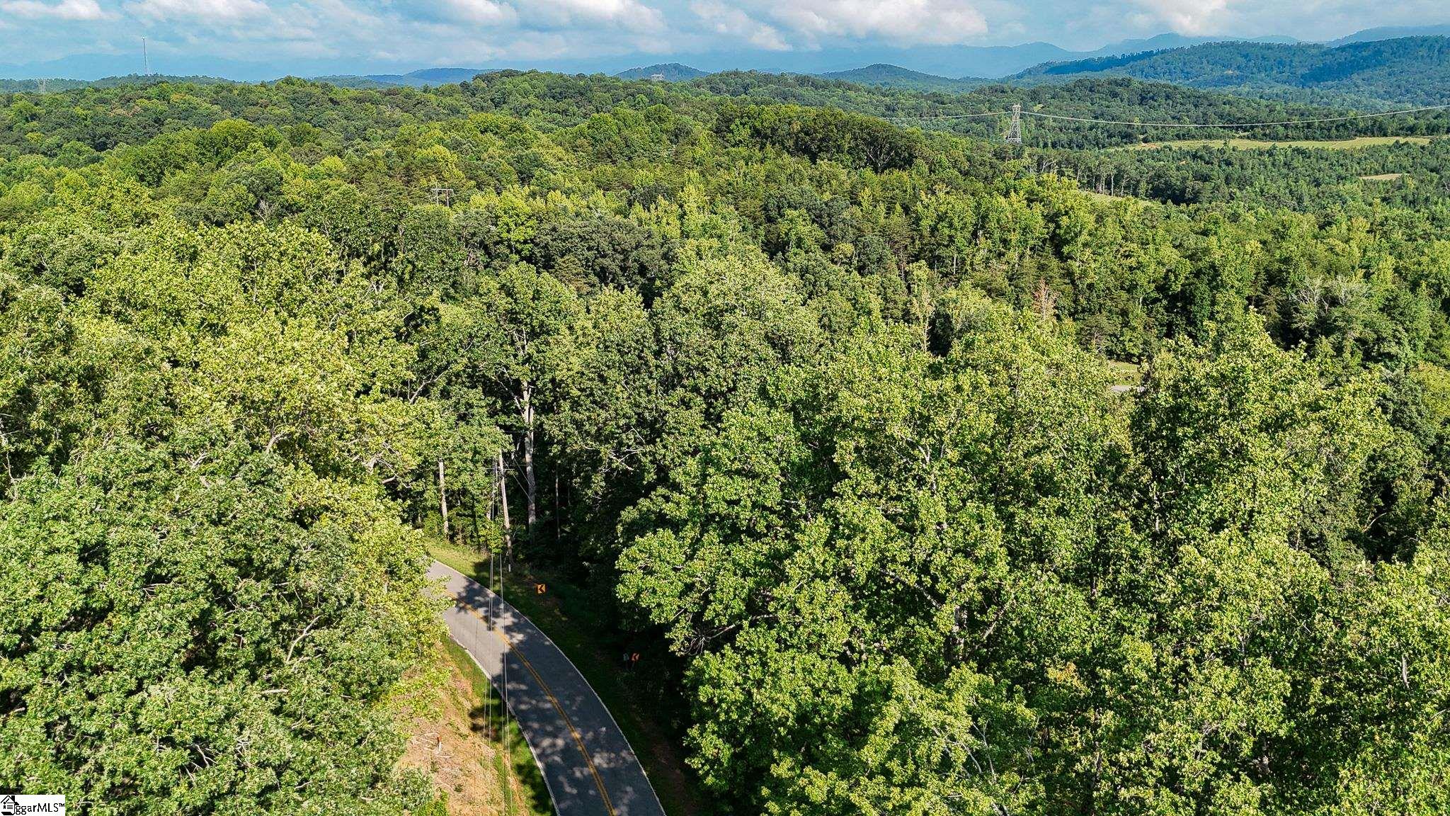 502 Chinquapin Road Travelers Rest, SC 29690 - Photo 6 of 22