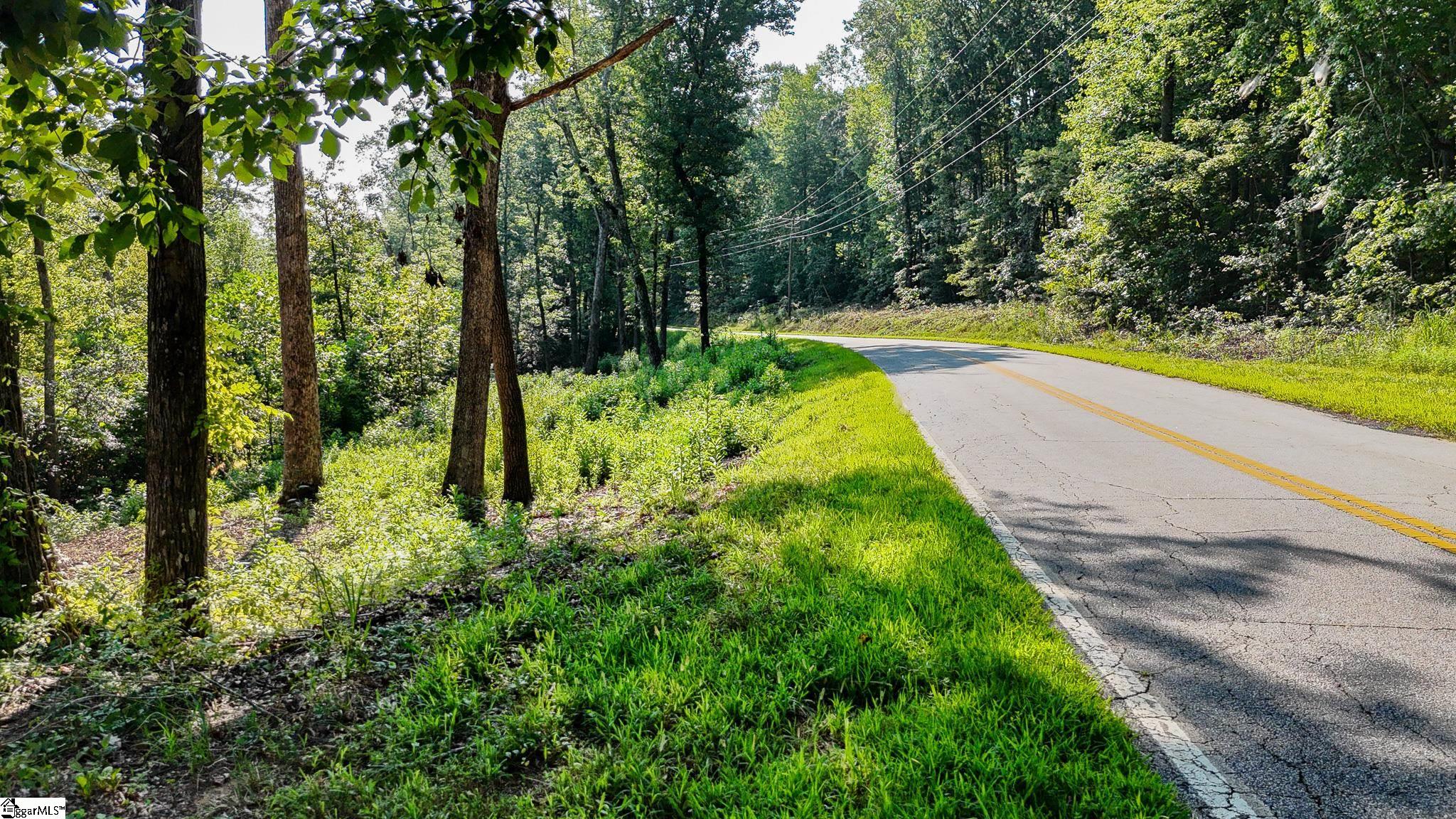 502 Chinquapin Road Travelers Rest, SC 29690 - Photo 7 of 22