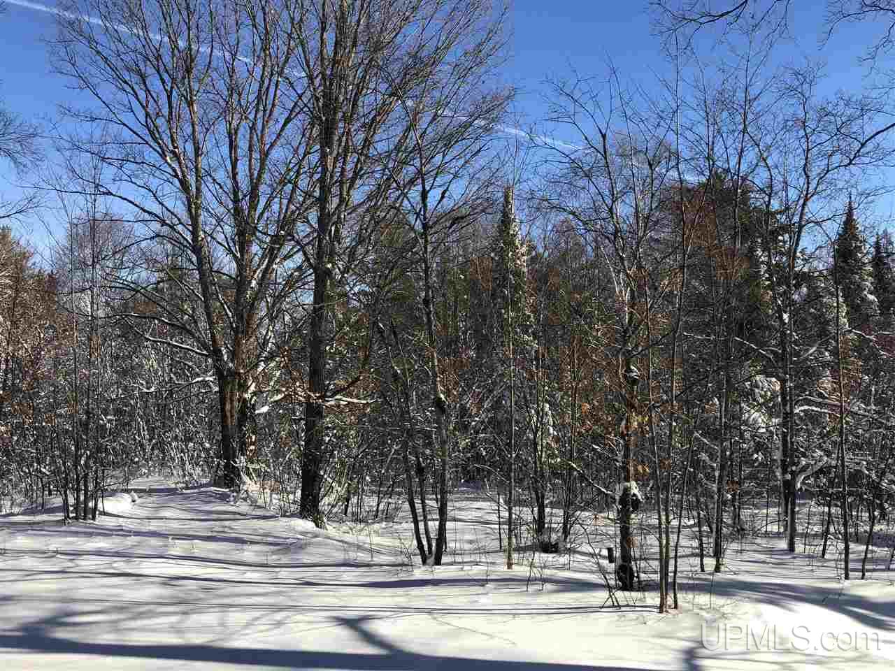 4007 Deer Lake Road Ishpeming, MI 49849 - Photo 7 of 36
